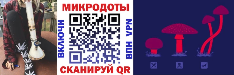 Псилоцибиновые грибы Psilocybe  Байкальск 